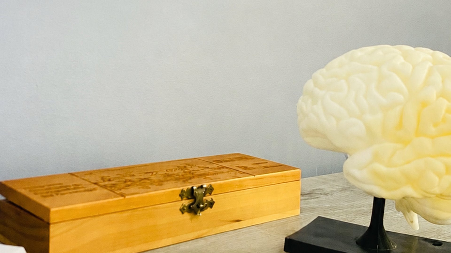 Detalle del consultorio — figura del cerebro humano